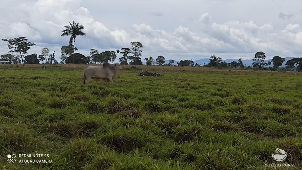 Fazenda à venda com 2 quartos, 85668000m² - Foto 21