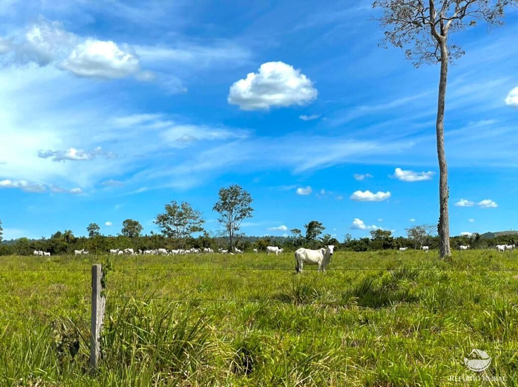 Fazenda à venda com 2 quartos, 85668000m² - Foto 7