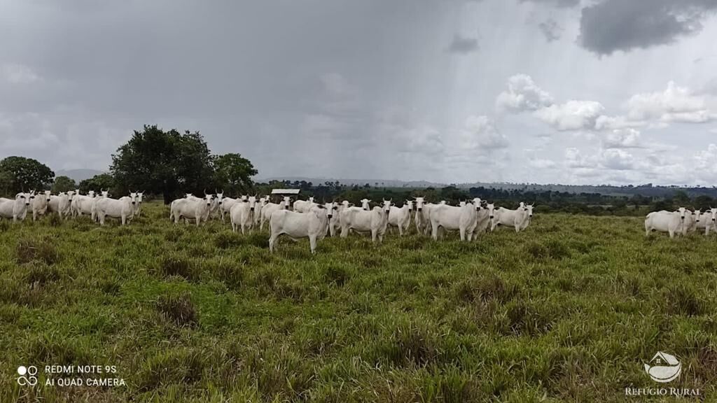 Fazenda à venda com 2 quartos, 85668000m² - Foto 1