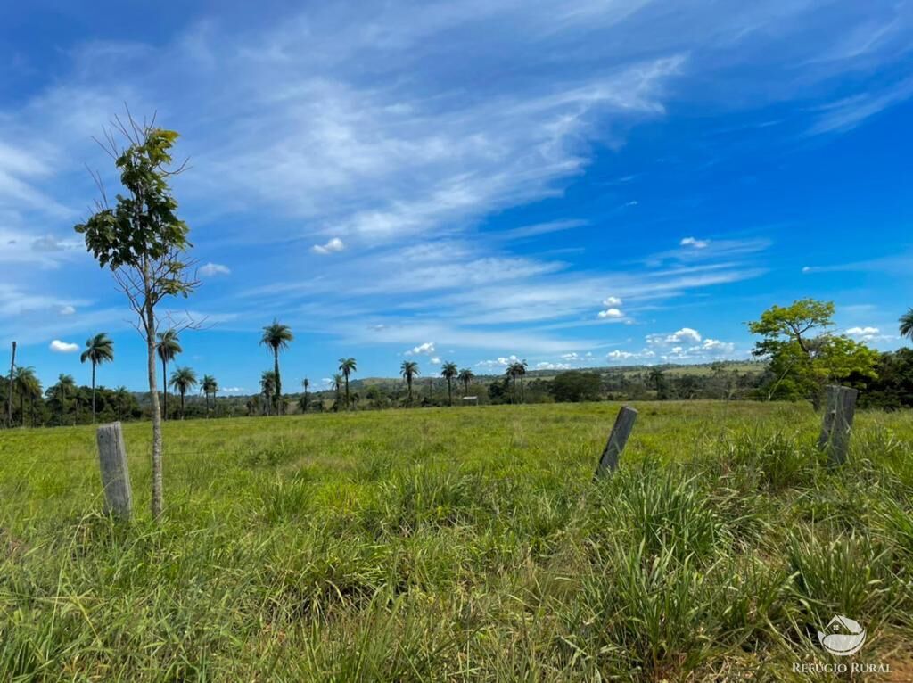 Fazenda à venda com 2 quartos, 85668000m² - Foto 11