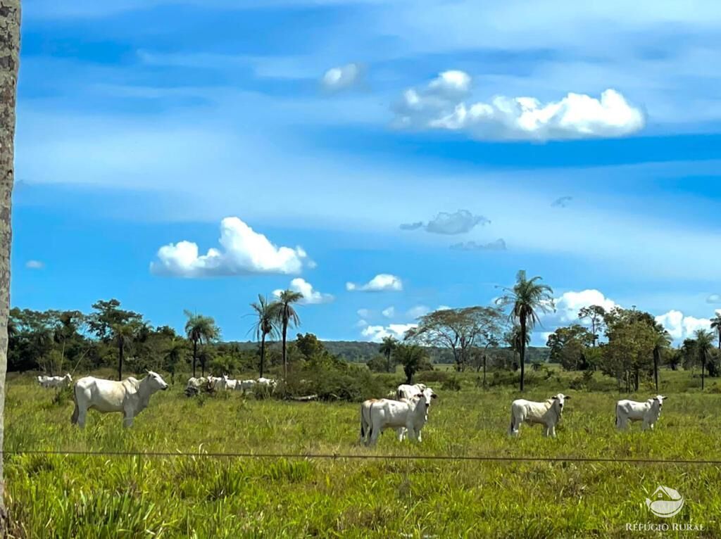 Fazenda à venda com 2 quartos, 85668000m² - Foto 2