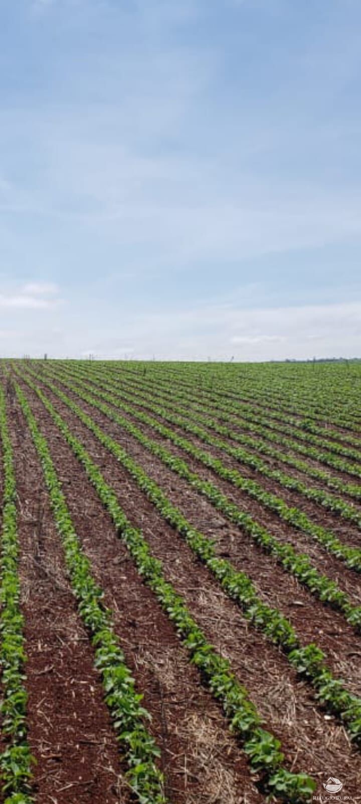 Fazenda à venda com 2 quartos, 170000000m² - Foto 1