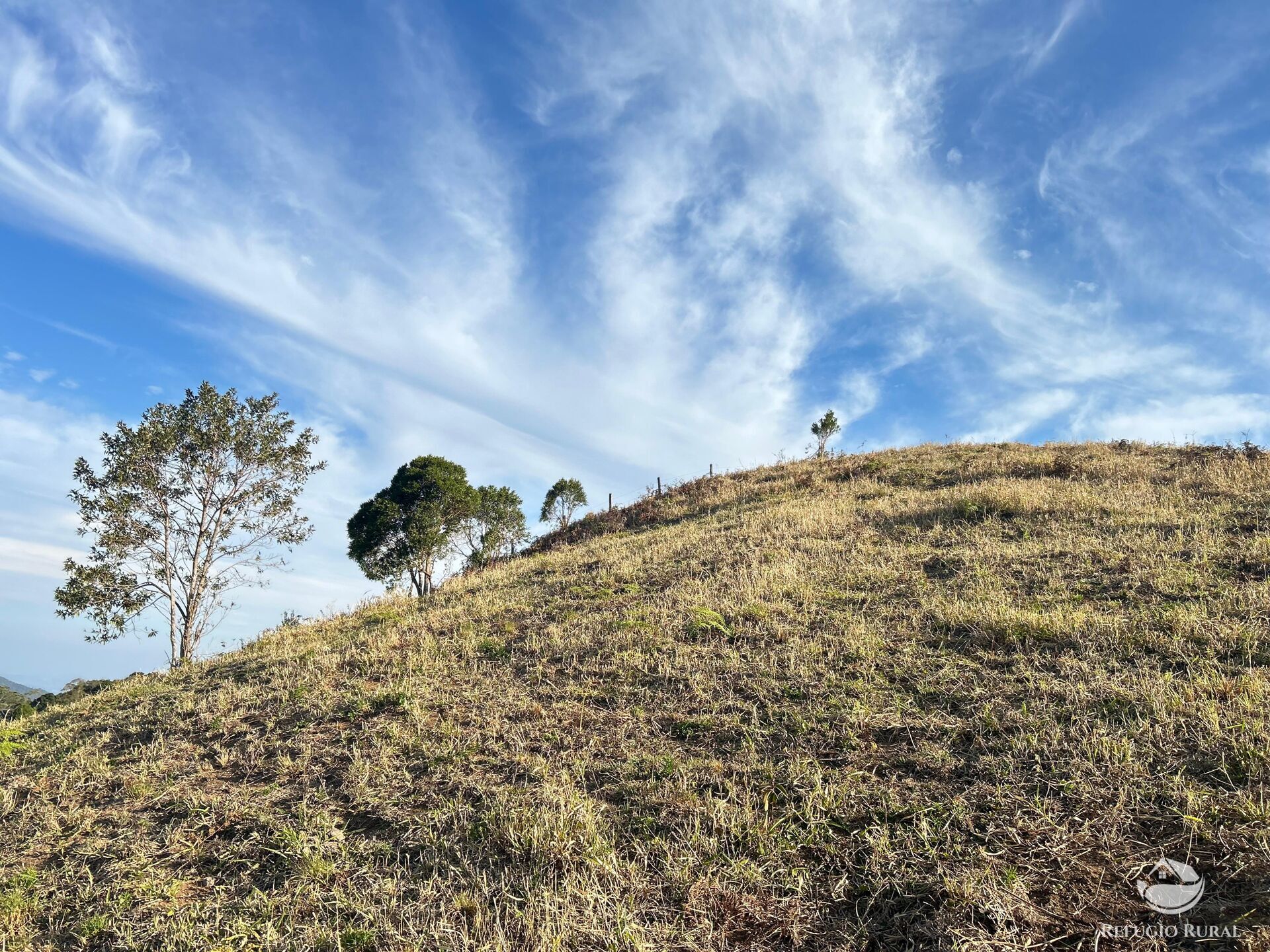 Terreno à venda, 36300m² - Foto 6