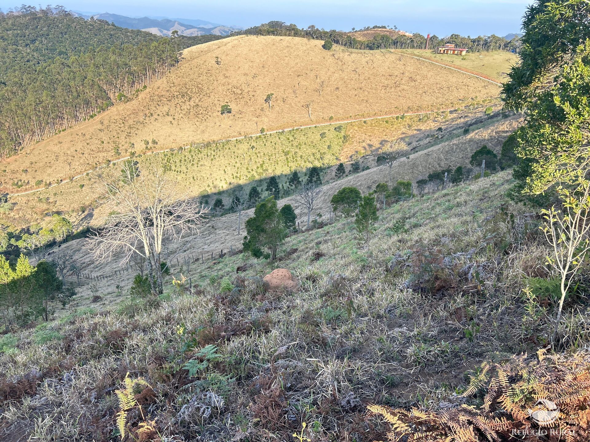 Terreno à venda, 36300m² - Foto 14