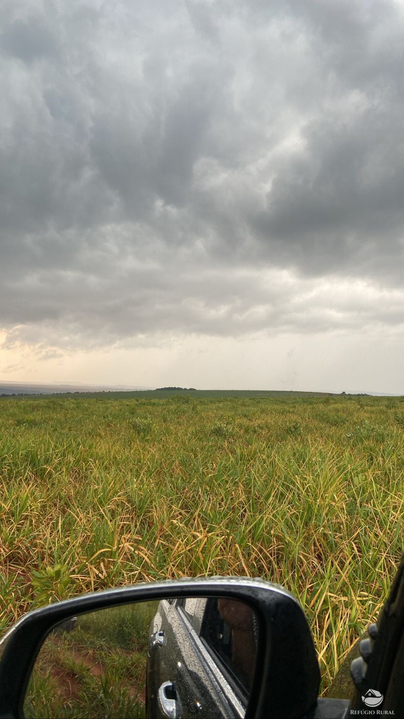 Fazenda à venda com 1 quarto, 11000000m² - Foto 2