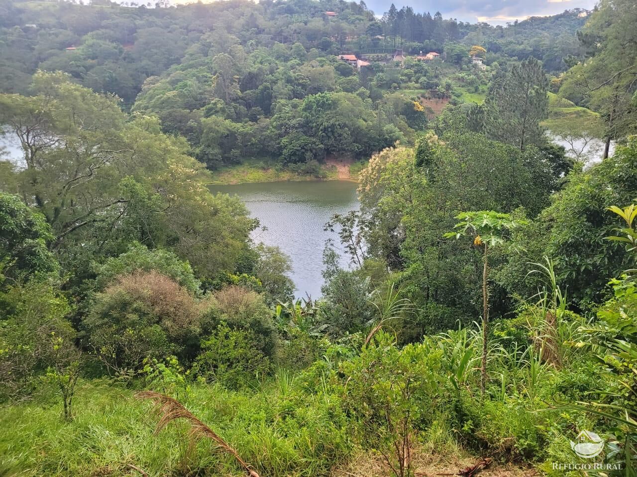 Fazenda à venda com 3 quartos, 5000m² - Foto 1