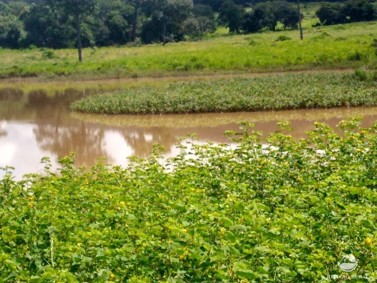 Fazenda em Paracatu/Minas Gerais — Ref P76CL4 — Imagem 12
