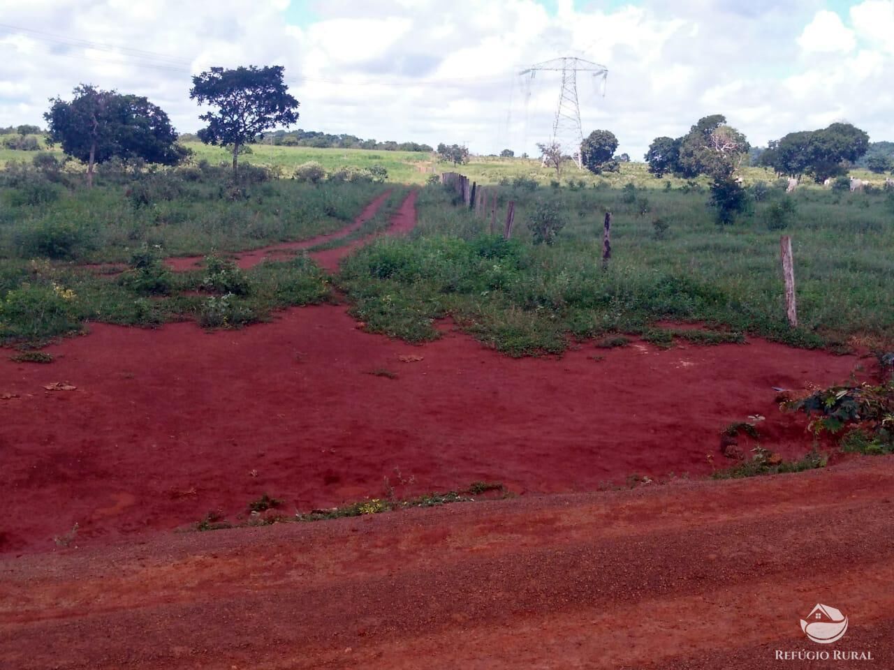 Fazenda em Paracatu/Minas Gerais — Ref P76CL4 — Imagem 17