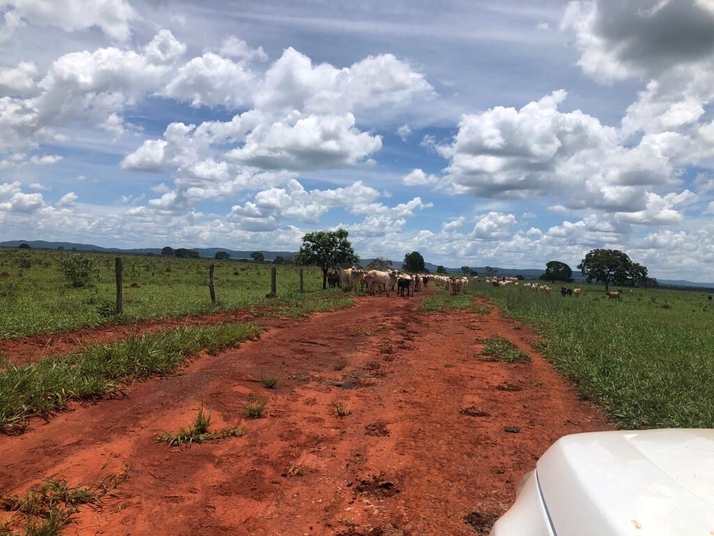 Fazenda em Paracatu/Minas Gerais — Ref P76CL4 — Imagem 18