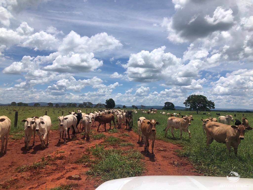 Fazenda em Paracatu/Minas Gerais — Ref P76CL4 — Imagem 3