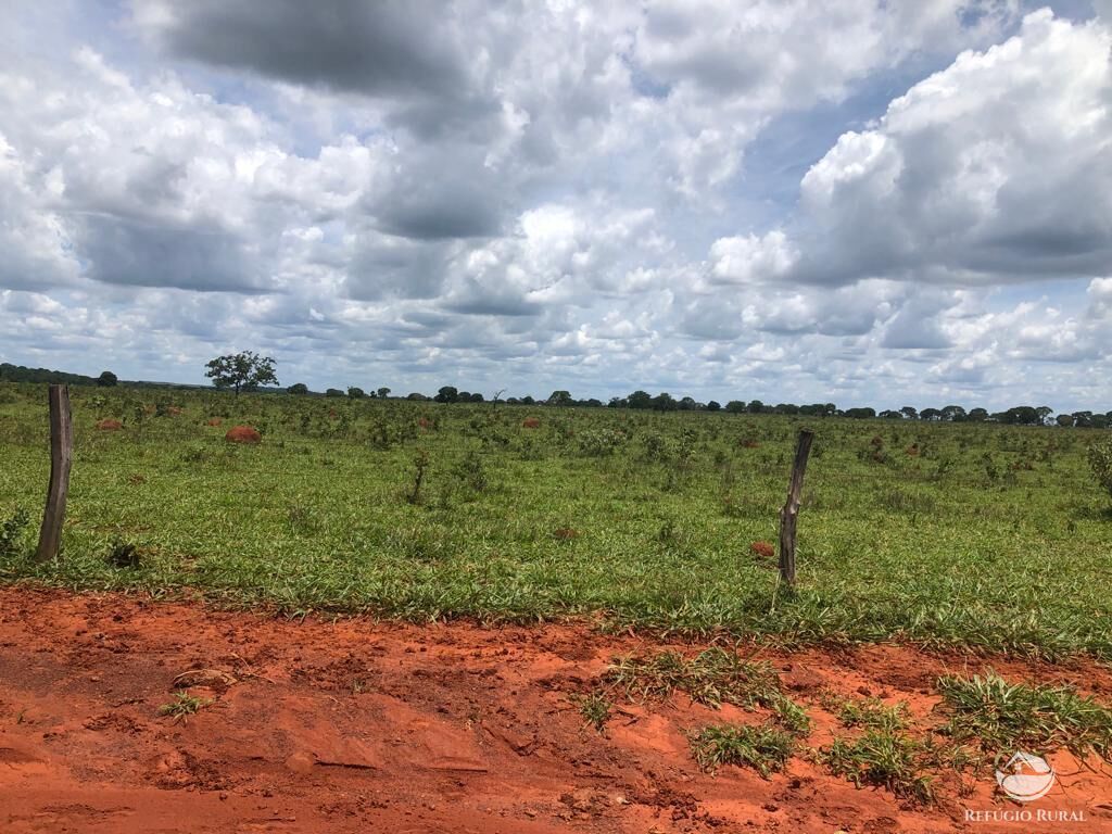 Fazenda em Paracatu/Minas Gerais — Ref P76CL4 — Imagem 19