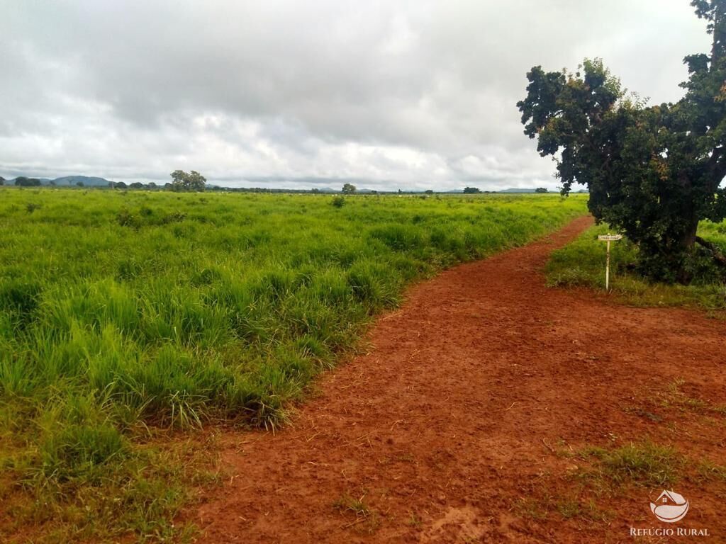 Fazenda em Paracatu/Minas Gerais — Ref P76CL4 — Imagem 9