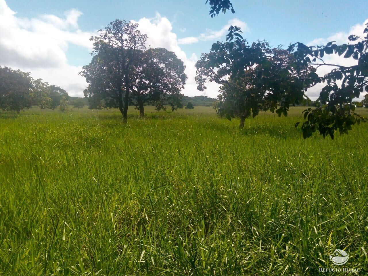 Fazenda em Paracatu/Minas Gerais — Ref P76CL4 — Imagem 6