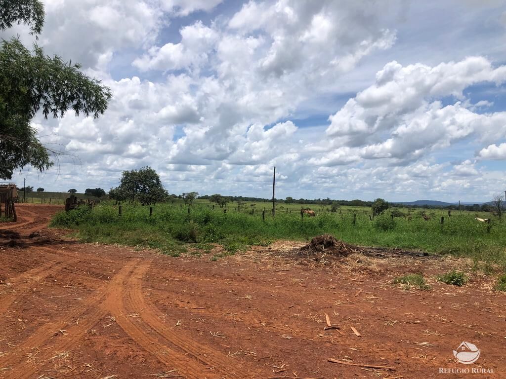 Fazenda em Paracatu/Minas Gerais — Ref P76CL4 — Imagem 7