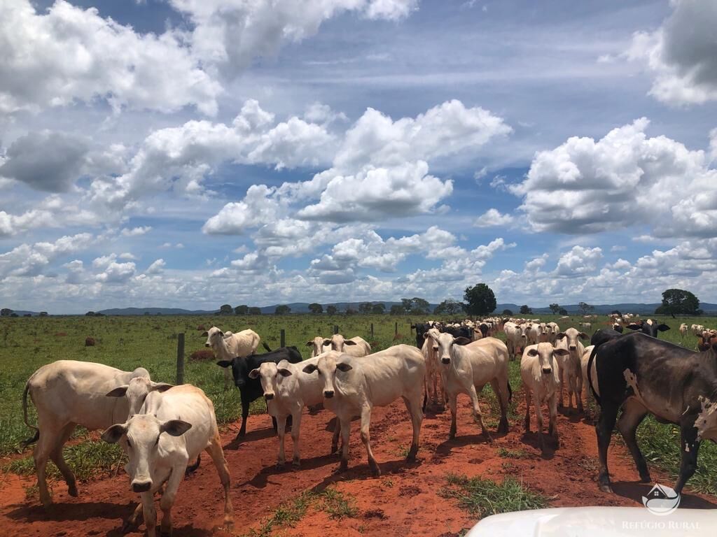 Fazenda em Paracatu/Minas Gerais — Ref P76CL4 — Imagem 2