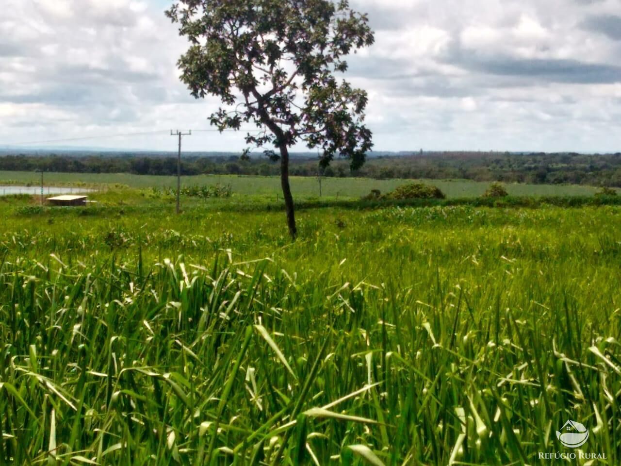 Fazenda em Paracatu/Minas Gerais — Ref P76CL4 — Imagem 11