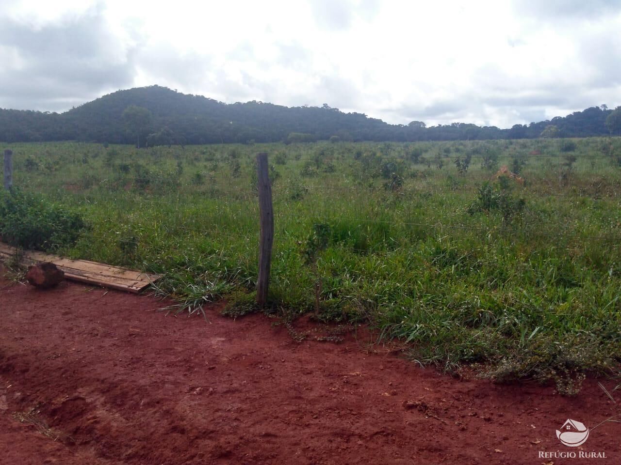 Fazenda em Paracatu/Minas Gerais — Ref P76CL4 — Imagem 20
