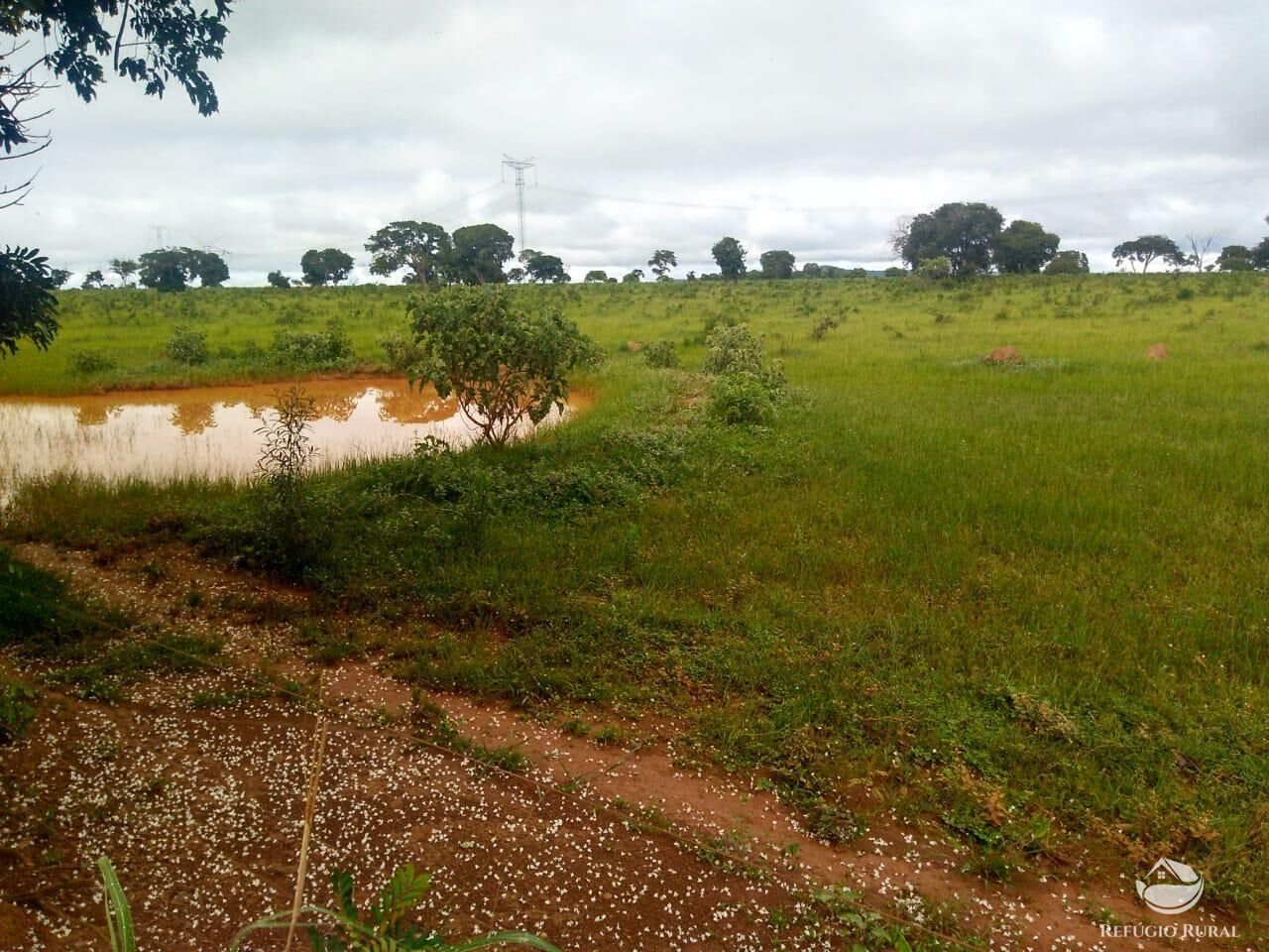 Fazenda em Paracatu/Minas Gerais — Ref P76CL4 — Imagem 13