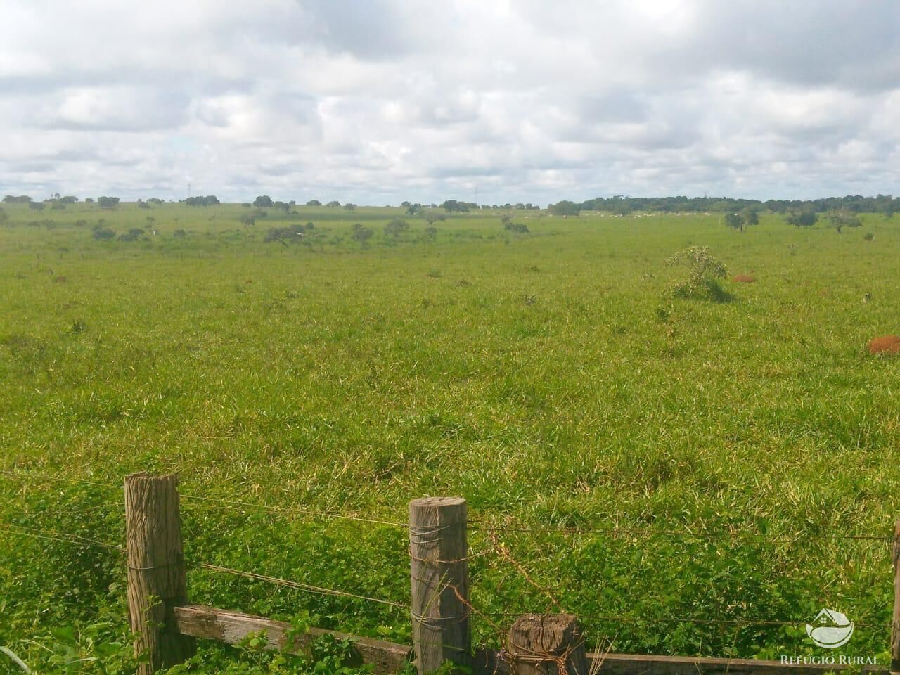 Fazenda em Paracatu/Minas Gerais — Ref P76CL4 — Imagem 16
