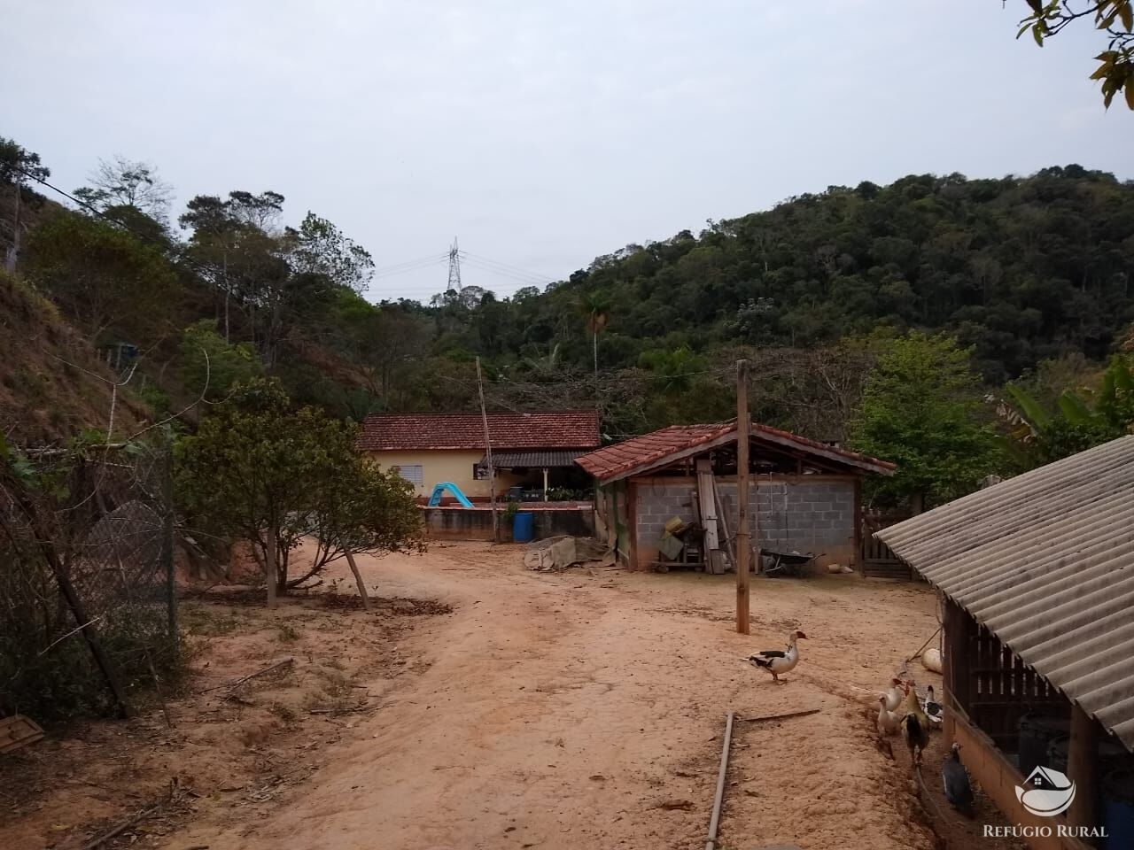 Chácara, 12 hectares - Foto 11