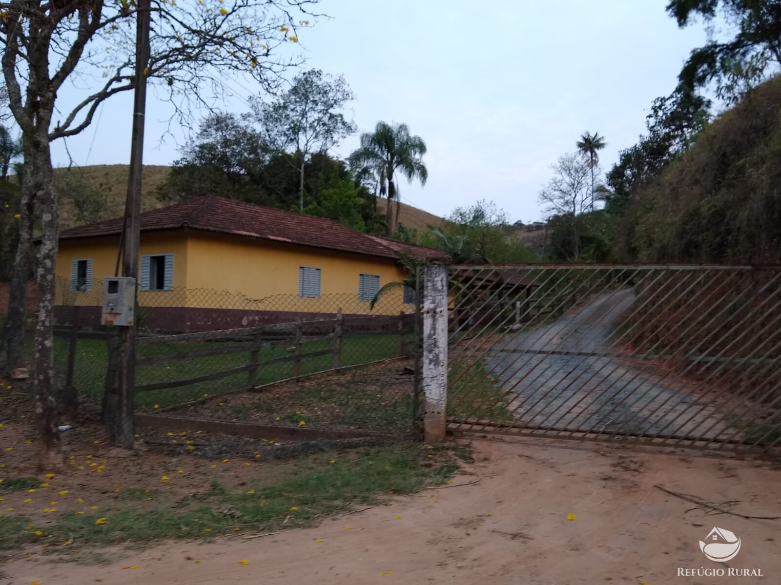 Chácara, 12 hectares - Foto 8