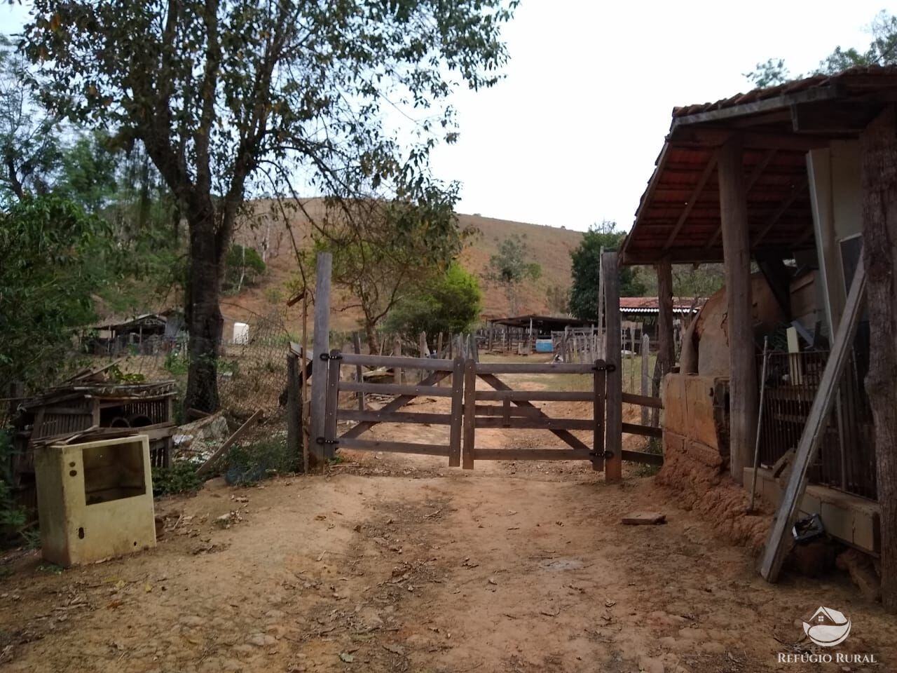 Chácara, 12 hectares - Foto 24