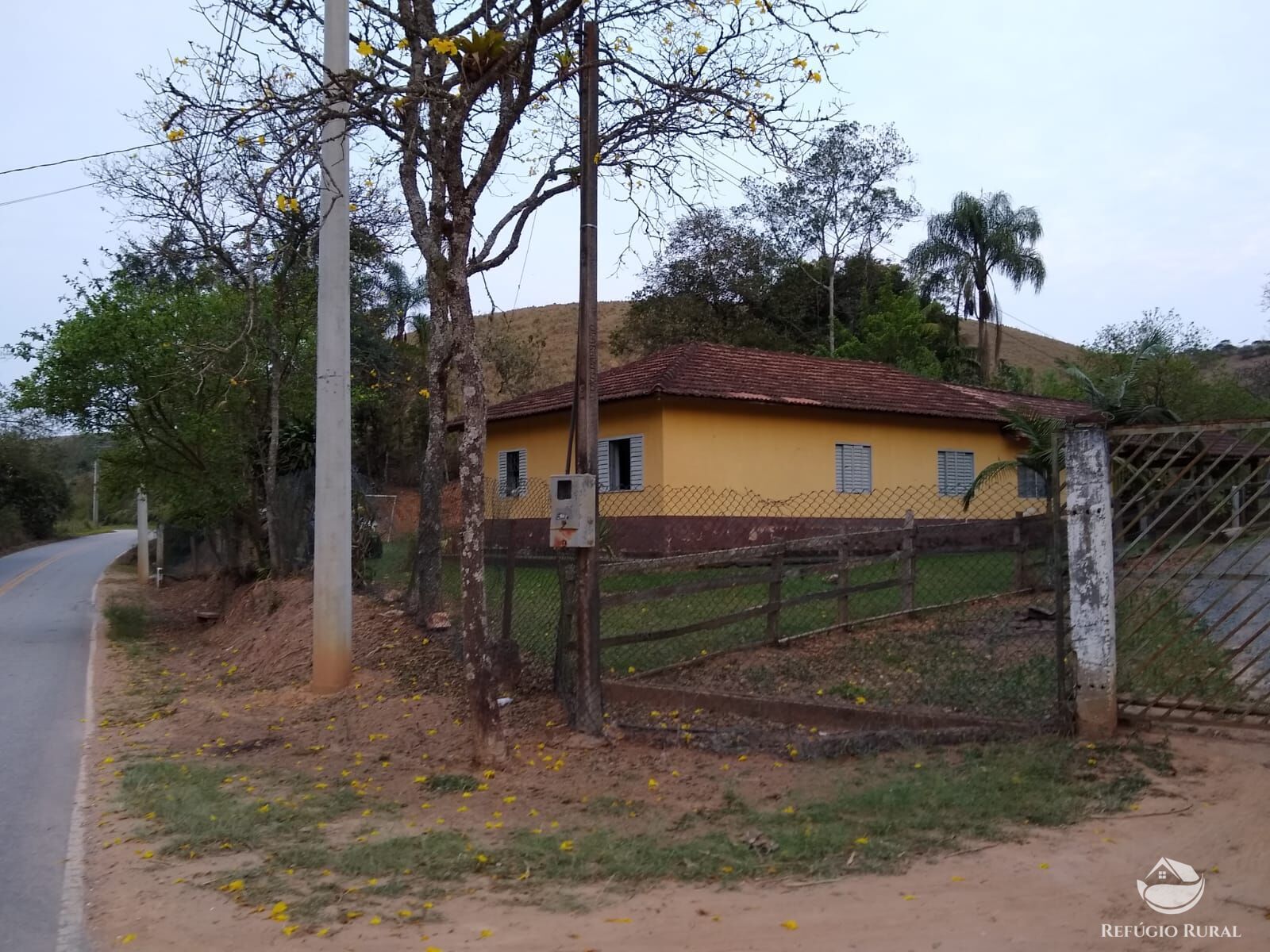 Chácara, 12 hectares - Foto 1