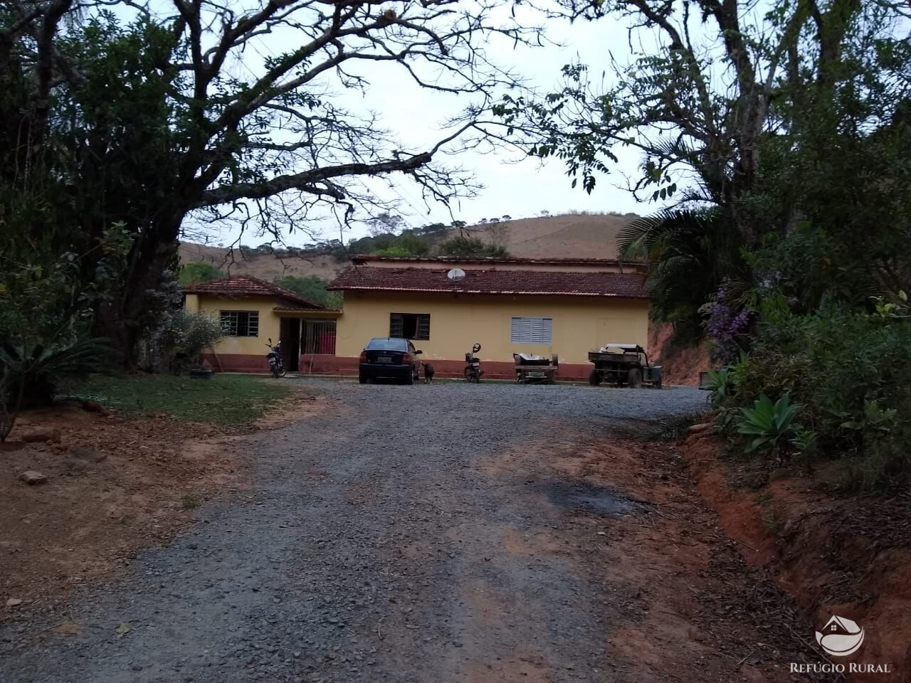 Chácara, 12 hectares - Foto 5