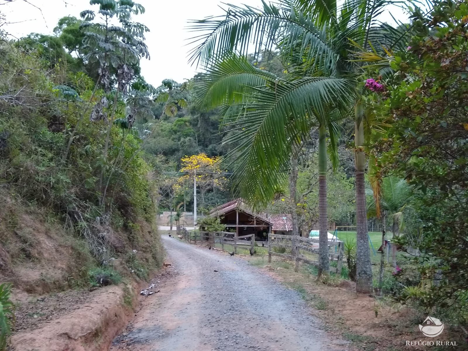 Chácara, 12 hectares - Foto 4