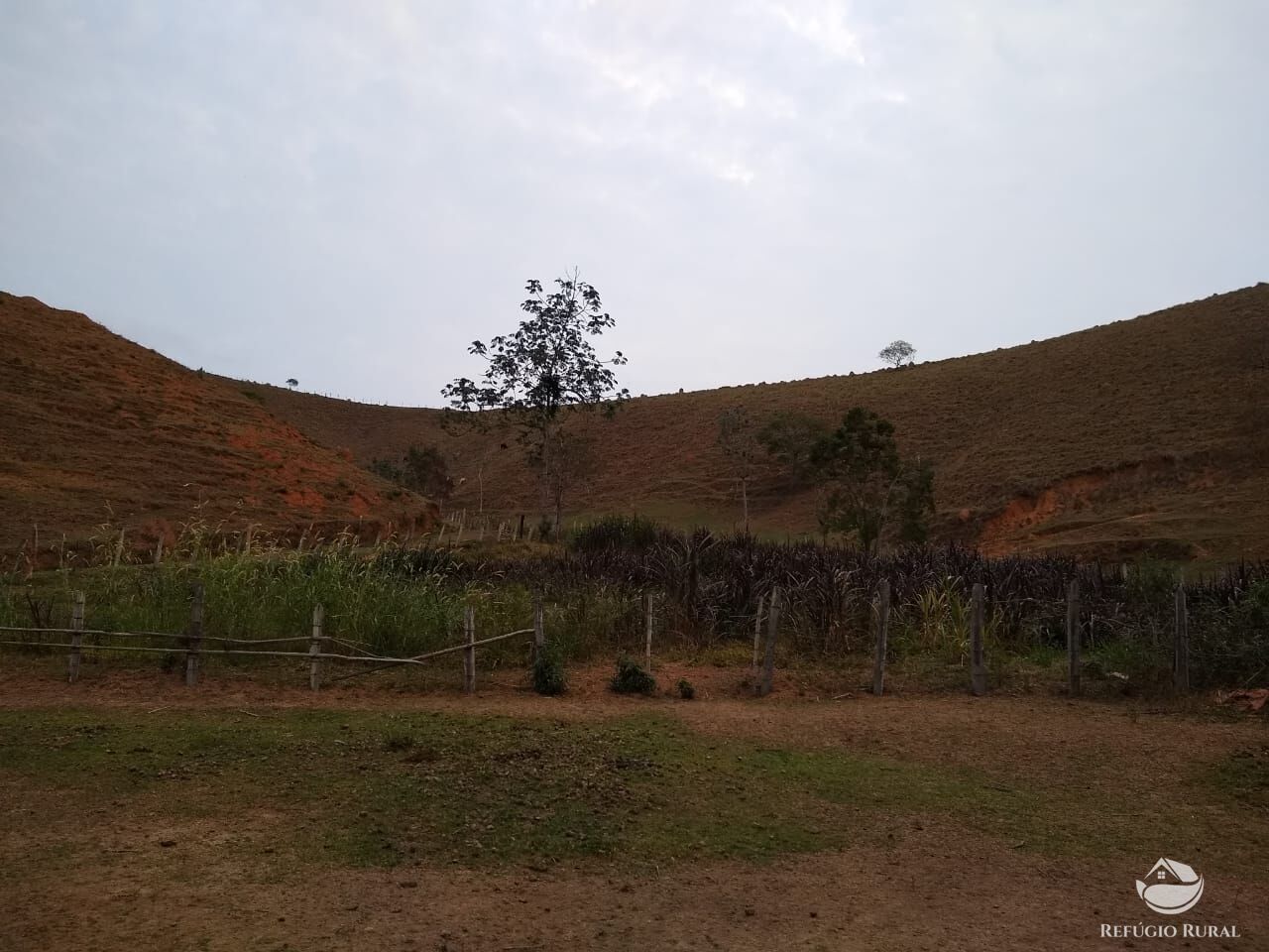 Chácara, 12 hectares - Foto 28