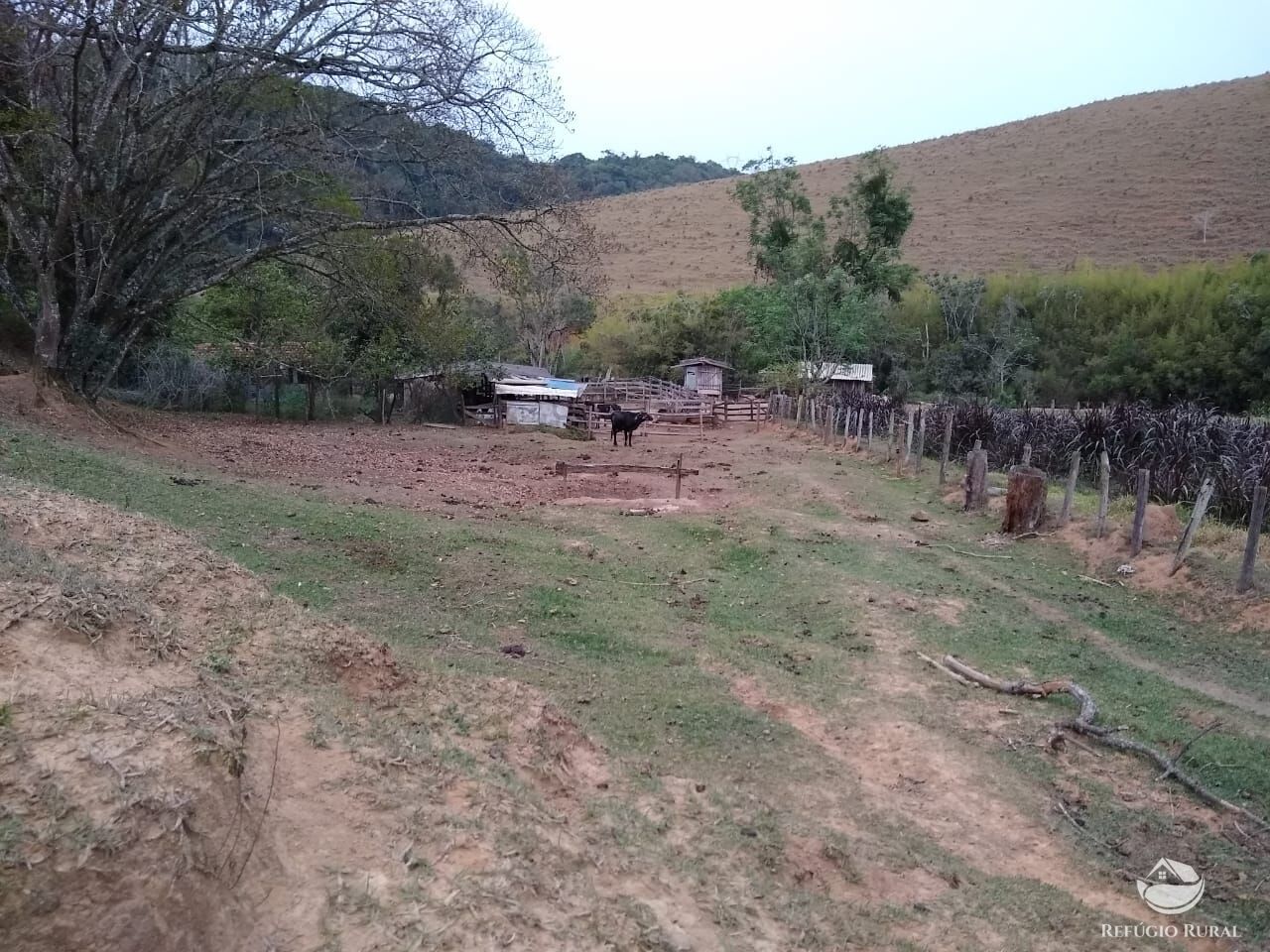 Chácara, 12 hectares - Foto 23