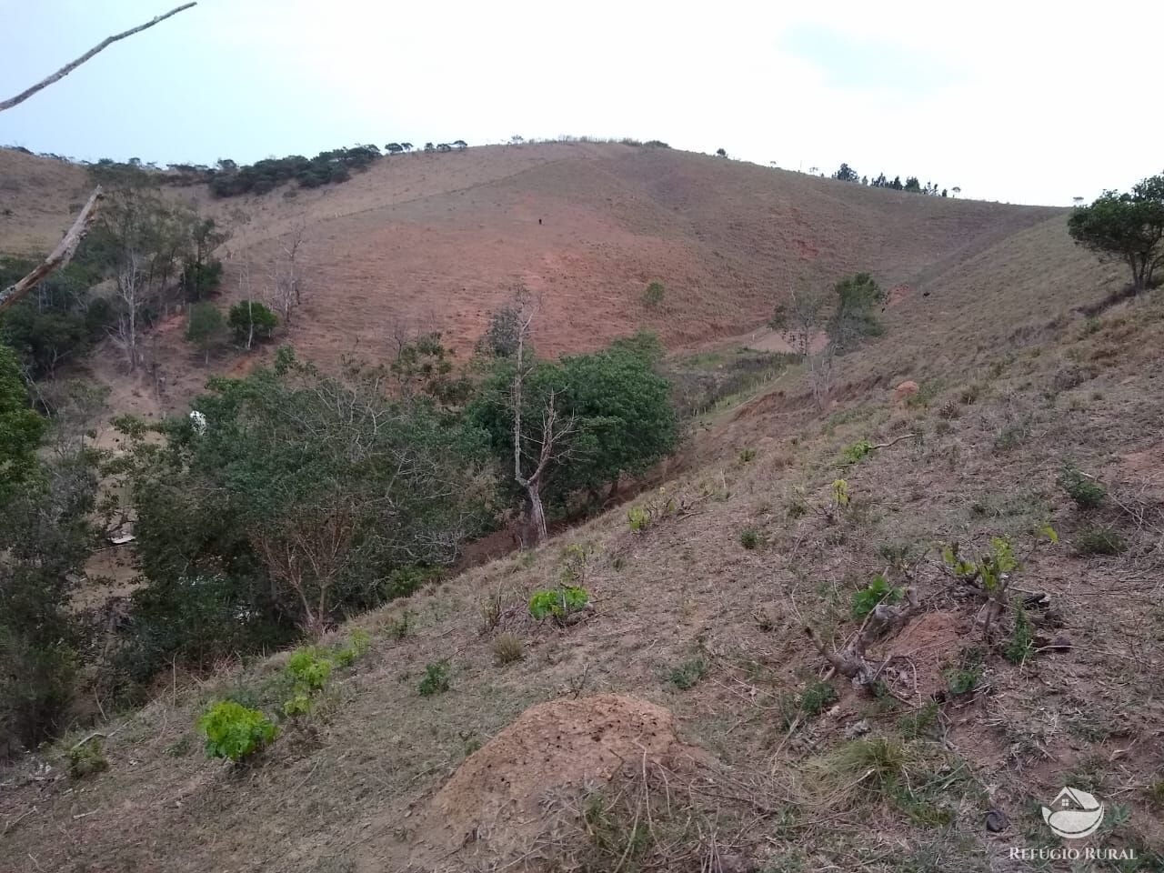 Chácara, 12 hectares - Foto 18