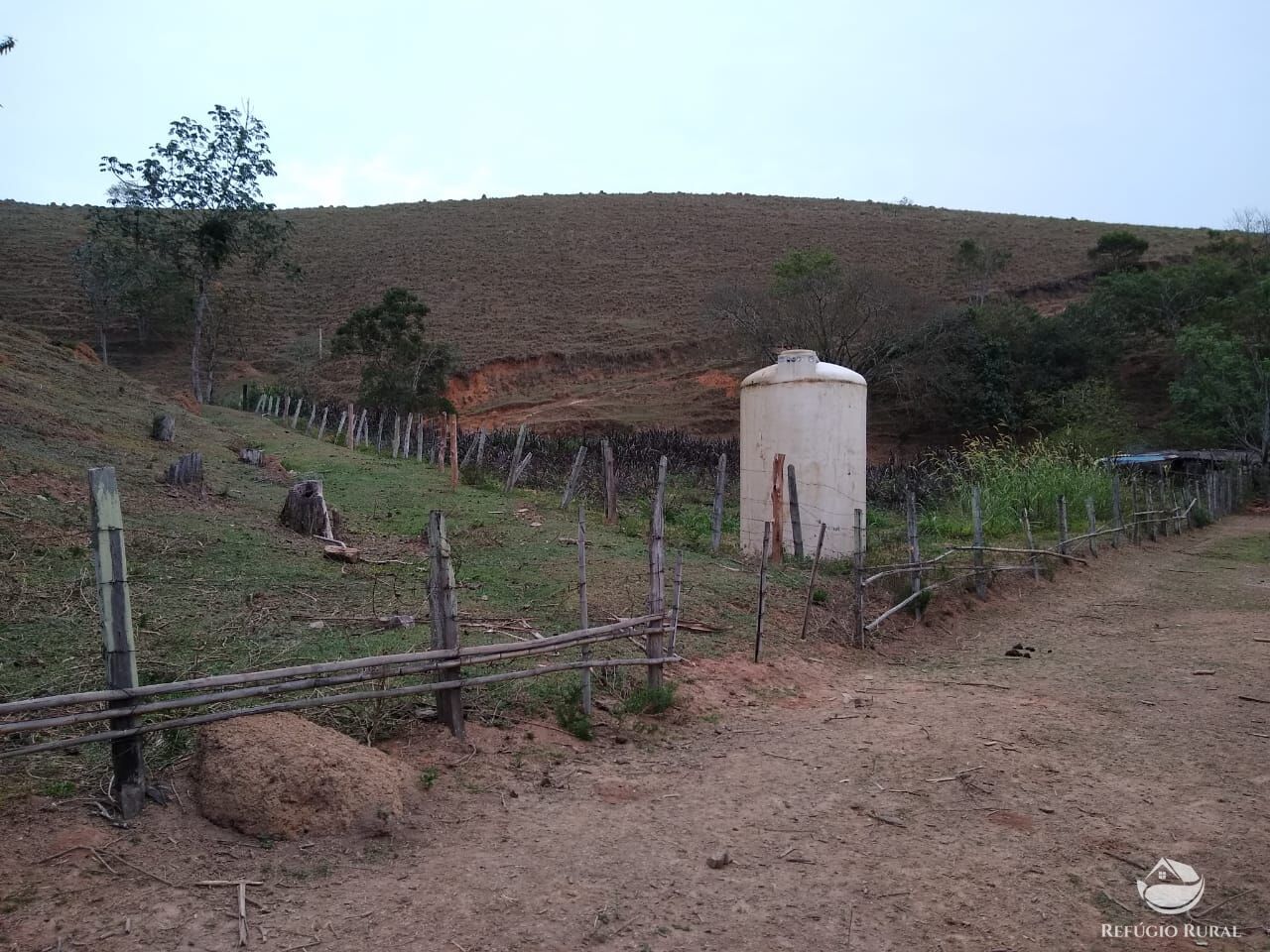 Chácara, 12 hectares - Foto 19