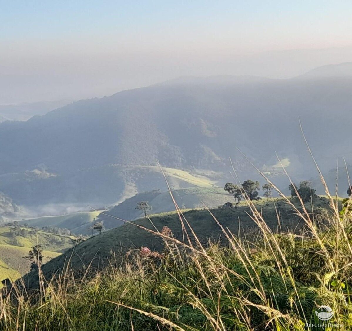 Sítio, 1 quarto, 60 hectares - Foto 4