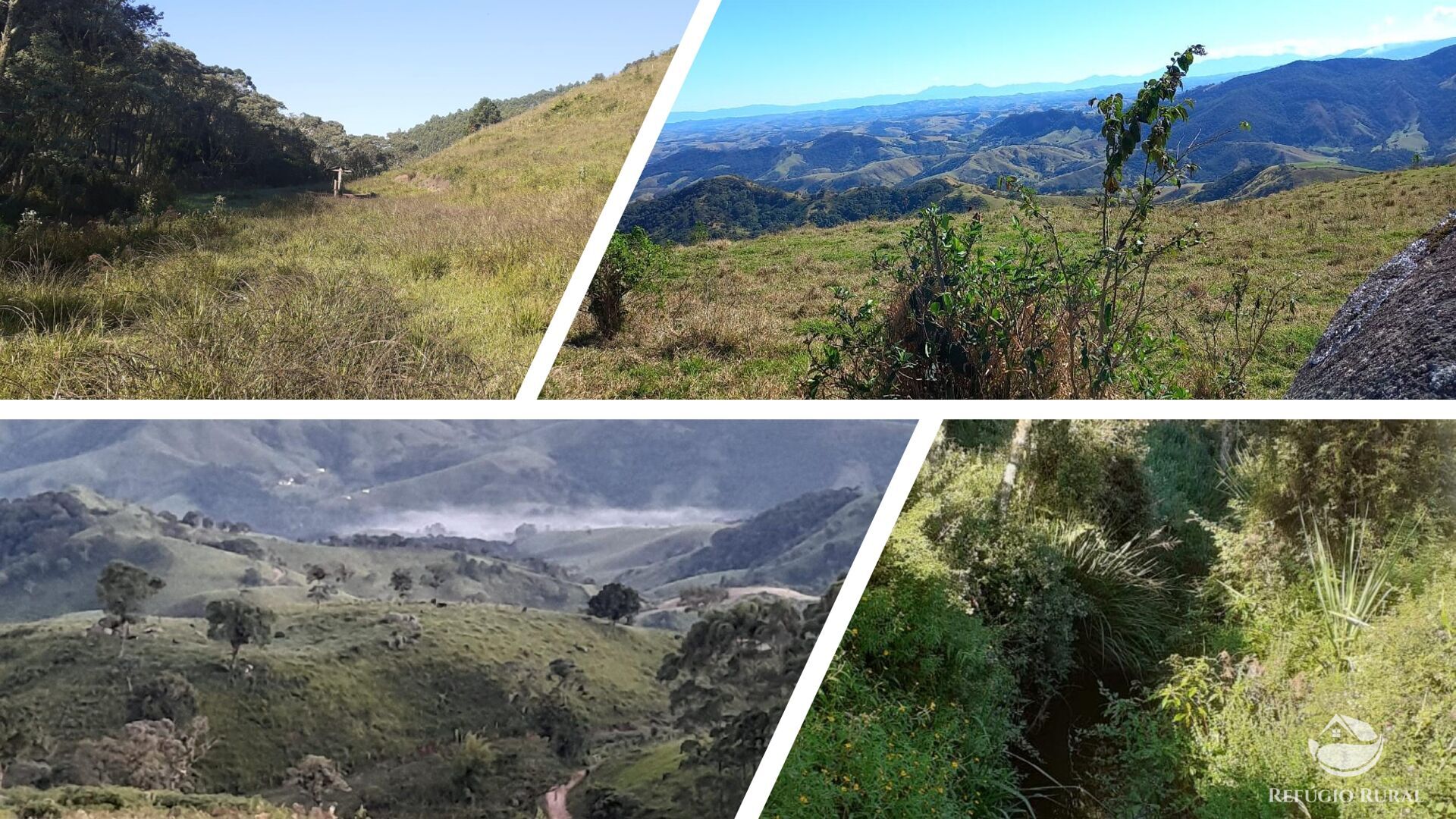 Sítio, 1 quarto, 60 hectares - Foto 7