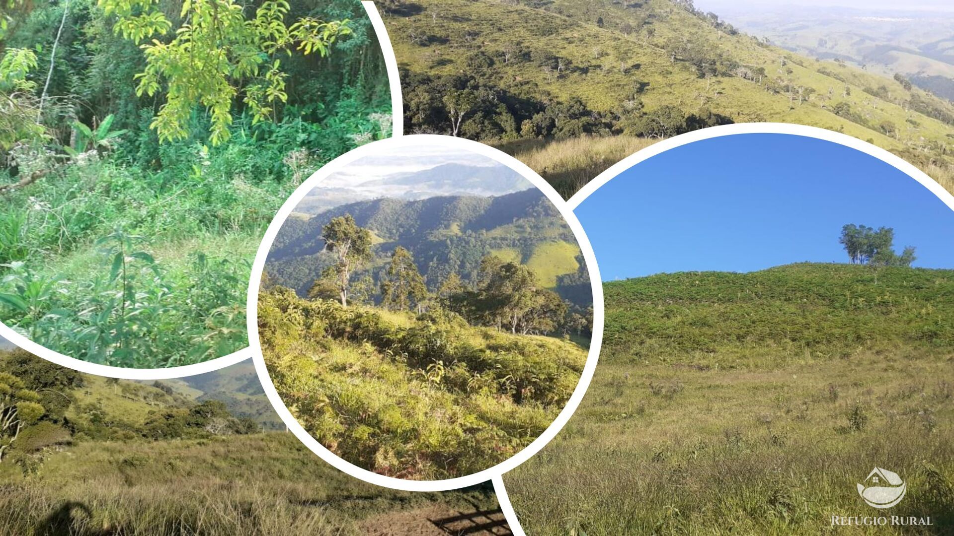 Sítio, 1 quarto, 60 hectares - Foto 6