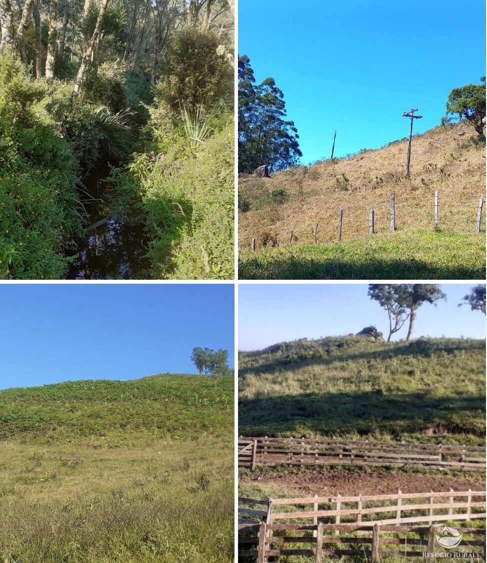 Sítio, 1 quarto, 60 hectares - Foto 3