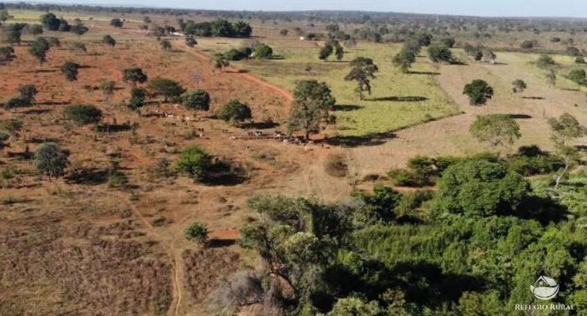 Fazenda, 1338 hectares - Foto 6