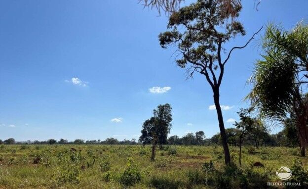 Fazenda, 1338 hectares - Foto 5