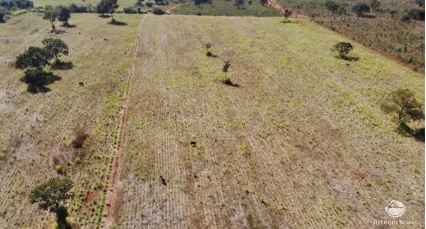 Fazenda, 1338 hectares - Foto 8
