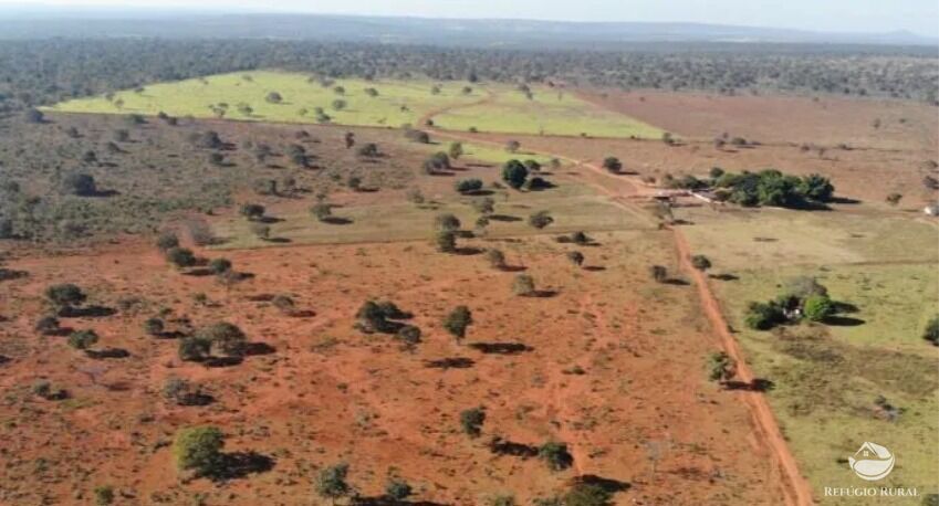 Fazenda, 1338 hectares - Foto 10