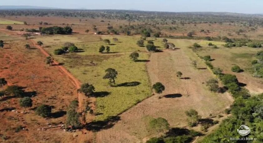 Fazenda, 1338 hectares - Foto 9