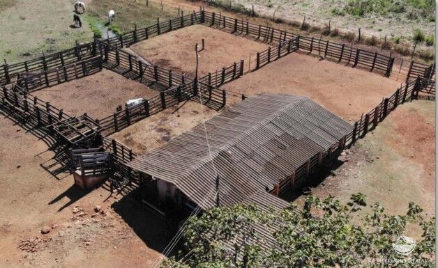 Fazenda, 1338 hectares - Foto 4