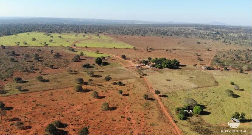 Fazenda, 1338 hectares - Foto 7