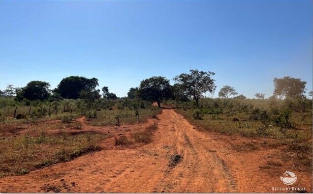 Fazenda, 1338 hectares - Foto 12