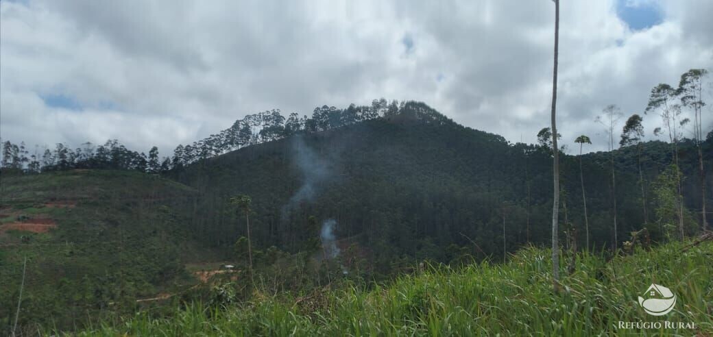 Terreno à venda, 20000m² - Foto 3