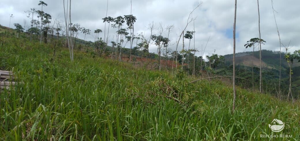 Terreno à venda, 20000m² - Foto 6