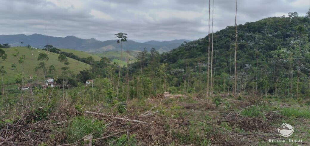 Terreno à venda, 20000m² - Foto 4