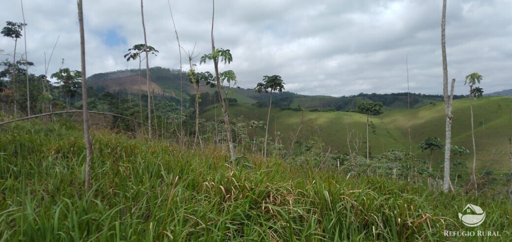 Terreno à venda, 20000m² - Foto 2