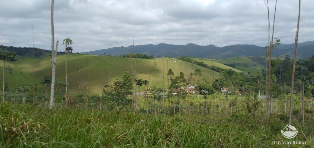 Terreno à venda, 20000m² - Foto 1